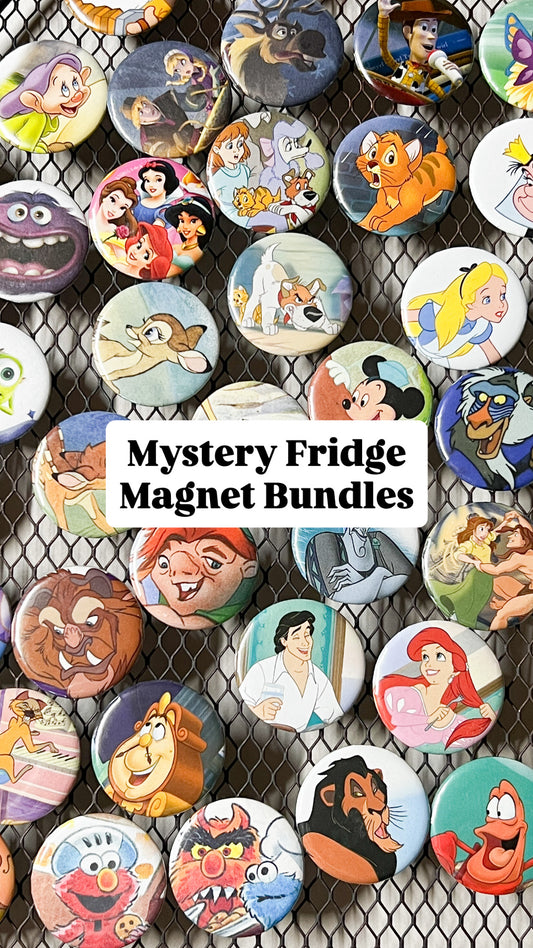 Mystery Fridge Magnet Packs ♻️✨